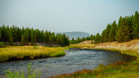 A beautiful shot of a river in the forestの写真素材