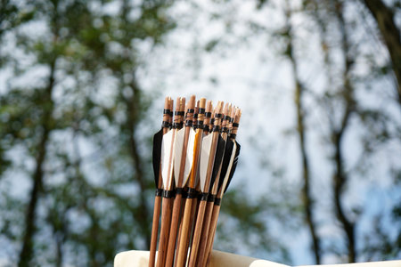 A closeup shot of arrowsの写真素材