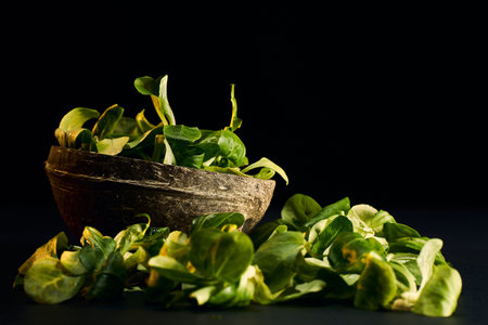A closeup shot of fresh spinachesの写真素材