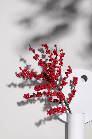 A vertical shot of a beautiful composition with red wild berries in a vase on a corner by the window