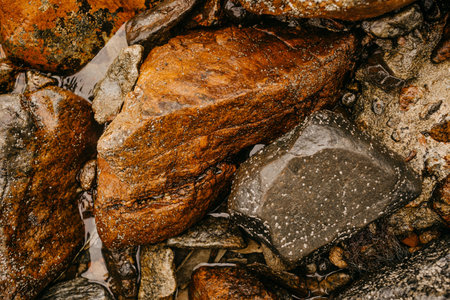 A closeup top view shot of rustic-colored rocks in the river of Gdansk in Polandの写真素材