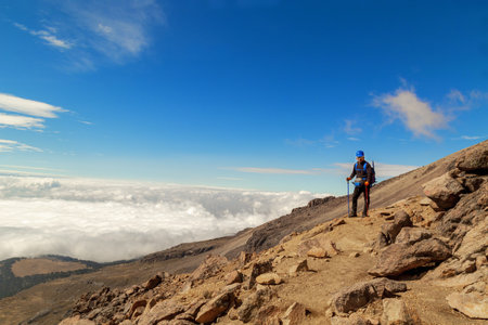 An adult Hispanic male hiker standing on a hill under the sunlight and a blue skyの写真素材