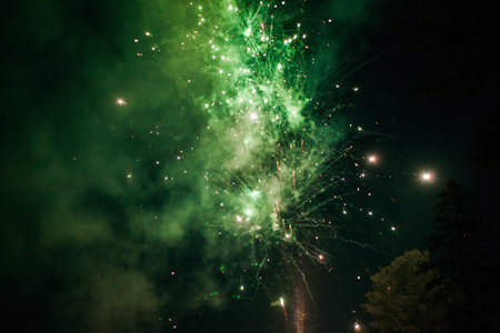 The green fireworks in the night skyの写真素材