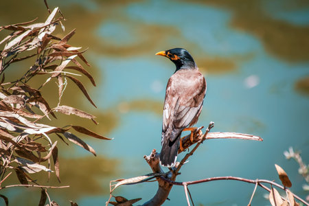 A closeup shot of a bird perched on a twigの写真素材