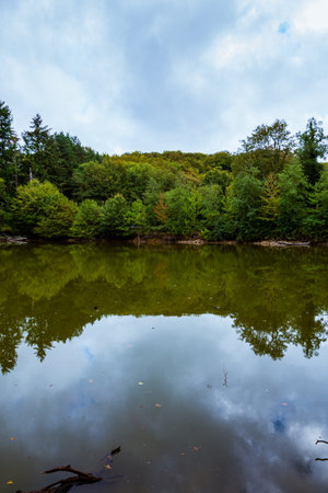 A scenic view of colorful autumn trees along a lakeside