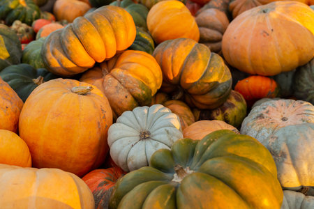 A closeup shot of pumpkin varietiesの写真素材