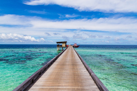 A beautiful nature view on the Maldivesの写真素材