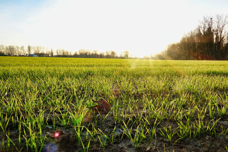 A beautiful countryside landscape of a large green valley