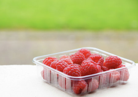 A closeup shot of fresh raspberries in the sunlightの写真素材