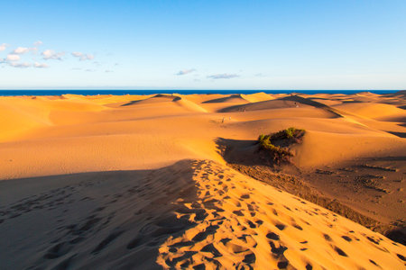 A closeup of Maspalomas Dunes on Gran Canaria islandの写真素材