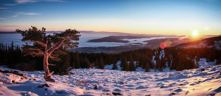 The beautiful view of mountains covered with snow and the lake in the background during the sunsetの写真素材