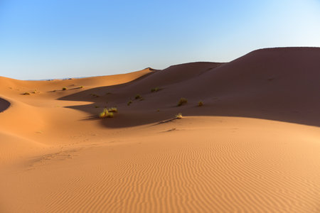 A shot of the dunes in the desert of Sahara, Moroccoの写真素材