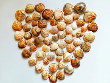 A closeup of a heart form made with seashells