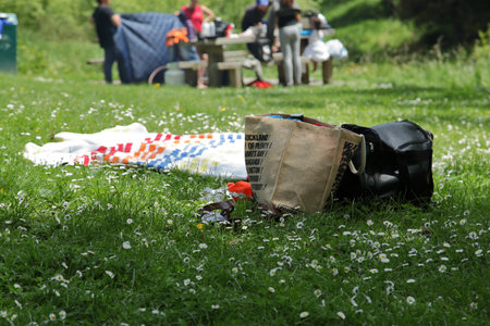 A selective focus shot of picnic bags on green grassの写真素材