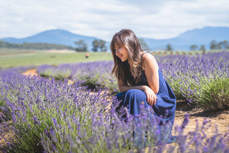 A happy Asian female in a long blue dress posing at camera in the lavender fieldの写真素材