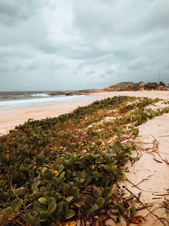 A vertical shot of a beach surrounded by the grass and sea under a cloudy sky in Rio de Janeiro, Brazilの写真素材