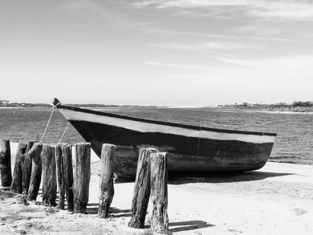 A grayscale shot of a wooden boat on the shoreの写真素材