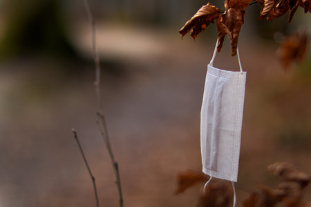 A white worn face mask hanging on a tree branch - new normal conceptの写真素材