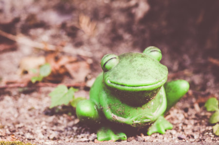 A closeup of an old and dirty toy frog placed on the groundの写真素材