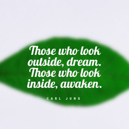 The quote Those who look outside, dream. Those who look inside, awaken. on a blurry background