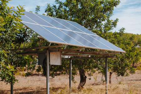Solar panels in a park absorbing the sun rays for generating electricity and heatingの写真素材