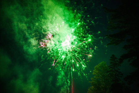 The bright green fireworks in the night skyの写真素材
