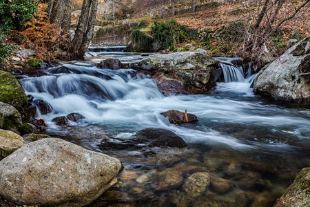 A vibrant scenery of a river flowing over rocks with long exposureの写真素材