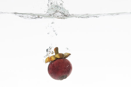A closeup shot of mangosteen dropping into waterの写真素材