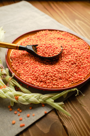 A vertical shot of a plate full of red lentils with a wooden spoon on a white paper towelの写真素材