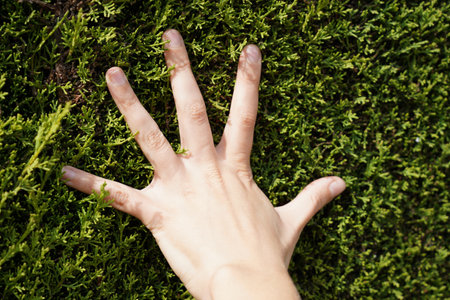 A closeup shot of hand on green grassの写真素材