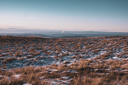A plain landscape view with a dy grass bushes and mountain layers on the horizonの写真素材
