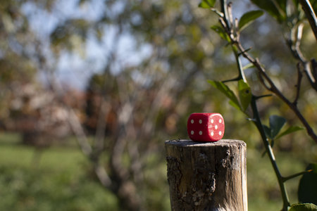 Red cube isolated in nature photographed in the parkの写真素材