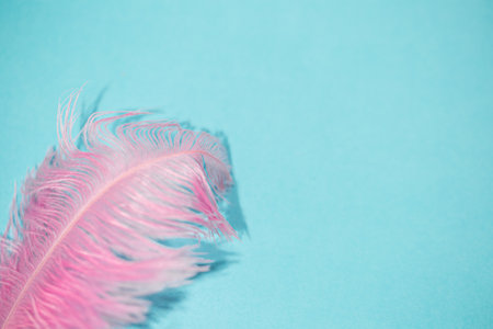 A closeup shot of pink feathers on a blue backgroundの写真素材