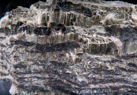 asbestos chrysotile fibers that cause lung disease, COPD, lung cancer, mesotheliomaの写真素材