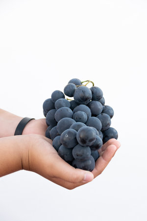 A vertical shot of a man's hand holding a bunch of ripe grapes on a white backgroundの写真素材