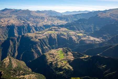 A tranquil shot of rocks covered by growthの写真素材