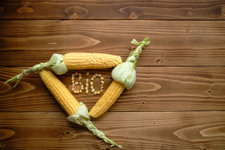 A closup shot of fresh corns formed like a recycle sign with grains formed as BIO on a wooden surfaceの写真素材