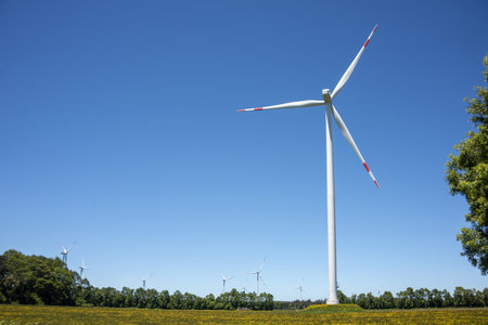 The windmills on a grass-covered meadow on a sunny day