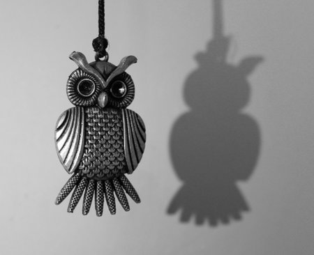 A black and white shot of a small metallic owl pendant near the wall with its shadowの写真素材