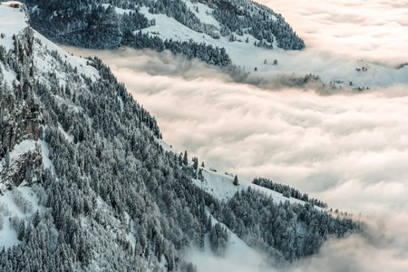 A high angle shot of snowy mountains and forests covered with clouds in Appenzellerland, Switzerland