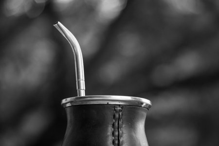 A selective focus shot of a  for a mateの写真素材