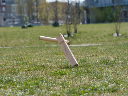 A selective focus shot of wooden pieces of traditional Viking chess on the grass-covered fielの写真素材