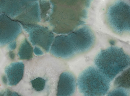 A macro shot of a mold culture on a white background