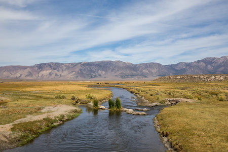 The Owens River in Sierra Nevada, Californiaの写真素材