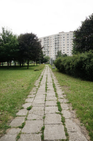 A vertical shot of a path through the paの写真素材