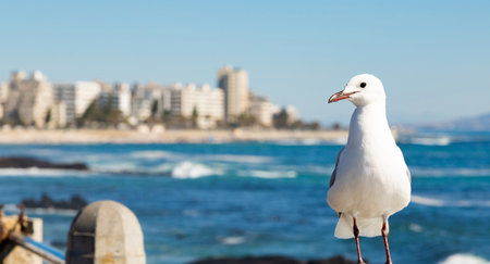 A closeup of a seagull perched on a fence with the sea on the blurry backgroundの写真素材