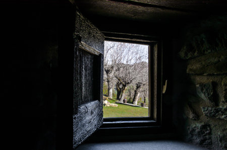 An interior view from the window of a rustic house towards a beautiful garden with treesの写真素材