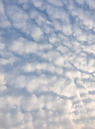 A vertical shot of white clouds