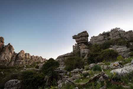A low angle shot of some rocky hills covered with green trees