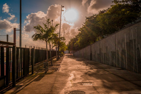 A beautiful shot of a street surrounded by a lot of trees under a beautiful clody skyの写真素材